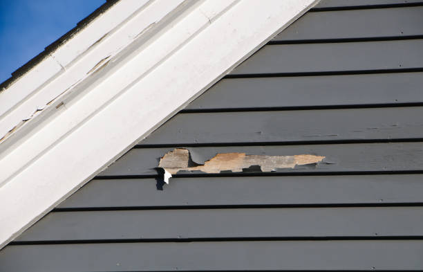 Professional Siding Installation & Repair in Boyce, LA
